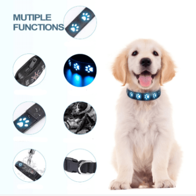 collier lumineux chien 7 modes descriptif