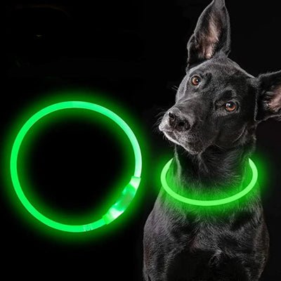 Collier lumineux pour chien LED vert rechargeable