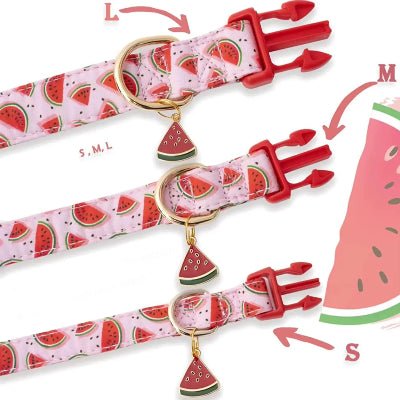 Collier pour chien | Fruits - Chien à l'honneur