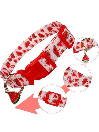 Collier pour chien | Fruits - Chien à l'honneur