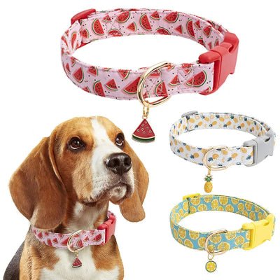 Collier pour chien | Fruits - Chien à l'honneur