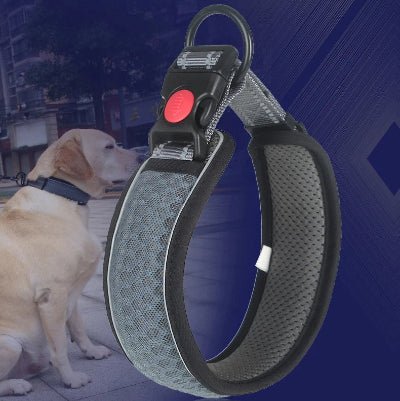 collier pour chien reflechissant gris modele
