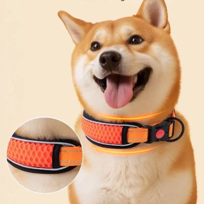 collier pour chien reflechissant couleurs akita confortable