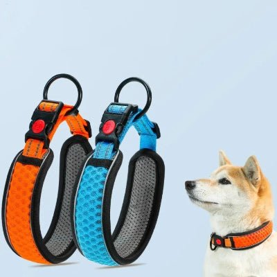 collier pour chien reflechissant couleurs variante