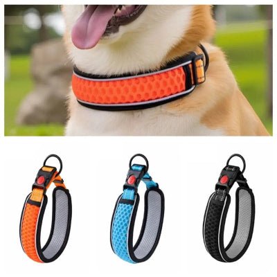 collier pour chien reflechissant couleurs 3 variante 