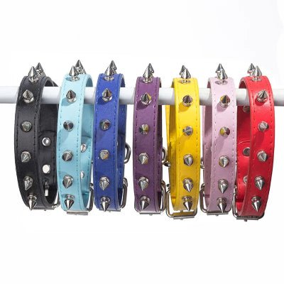Collier pour chien | Spike - Chien à l'honneur