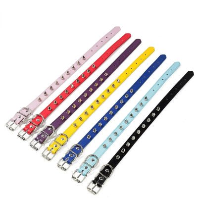 Collier pour chien | Spike - Chien à l'honneur