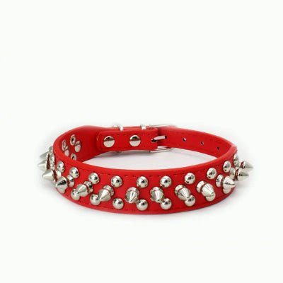 Collier pour chien | Spike et rivet - Chien à l'honneur