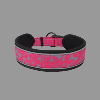 Collier reflechissant pour chien visioSafe clair rose