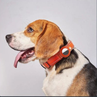 collier anti-fugue chien airtag beagle avec le modele rouge