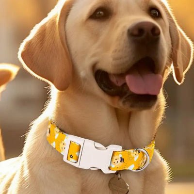 collier chien abeilles amusant