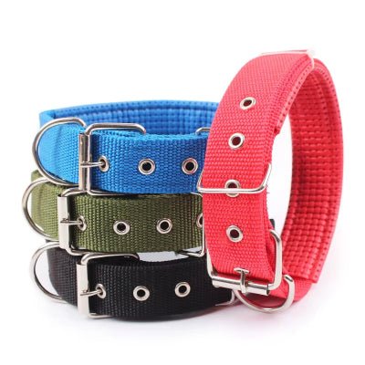 collier chien ajustable variantes