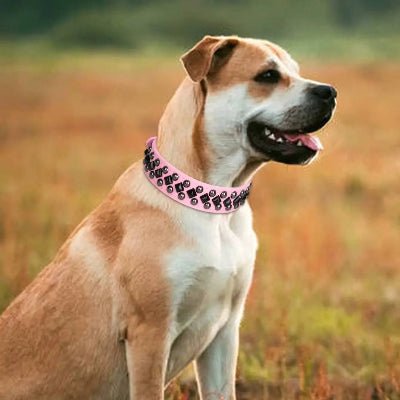 collier  chien cuir rivet argent