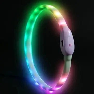 collier chien lumineux Silicone modele multicolore