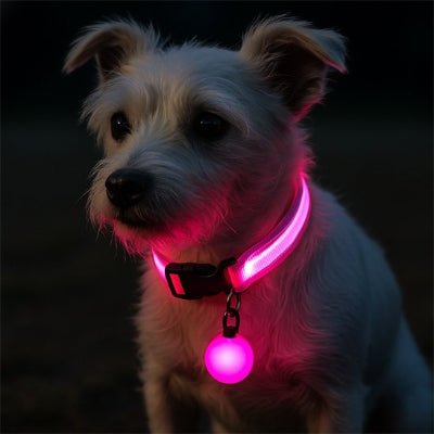 collier lumineux pour chien rose sur griffon avec pendentif