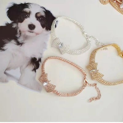 collier pour chien décoratif 3 variantes avec shihtzu