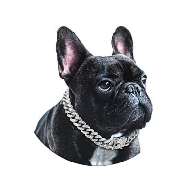 collier pour chien diamant argent boule dogue