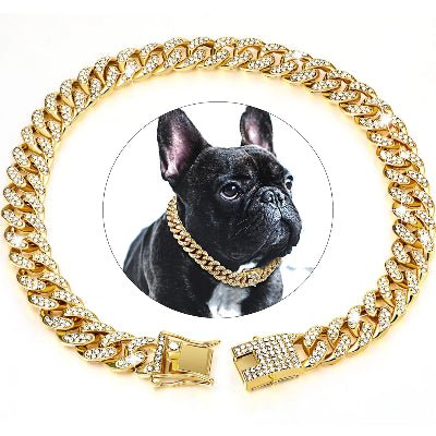 collier pour chien diamant or