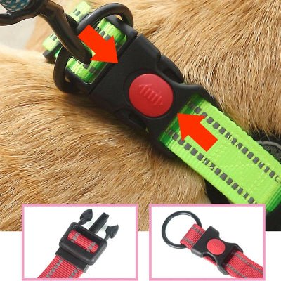 collier pour chien reflechissant attache securise