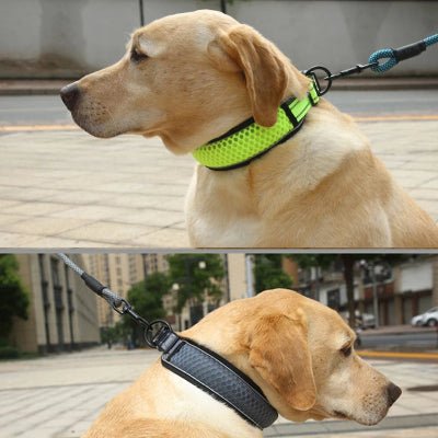 collier pour chien reflechissant large et confortable
