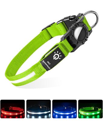 Colliers lumineux pour chiens | usb airtag - Chien à l'honneur