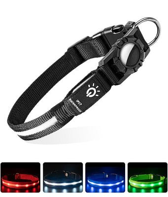 Colliers lumineux pour chiens | usb airtag - Chien à l'honneur