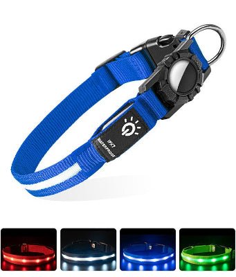 Colliers lumineux pour chiens | usb airtag - Chien à l'honneur