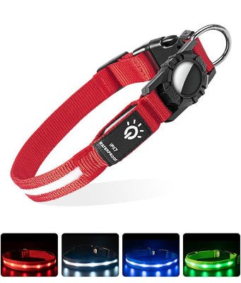 Colliers lumineux pour chiens | usb airtag - Chien à l'honneur