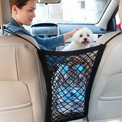 Filet chien voiture protection