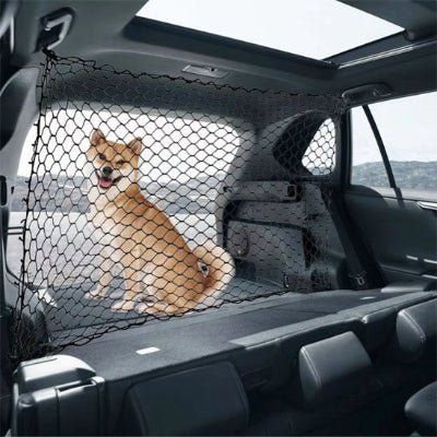 Filet chien voiture securitaire