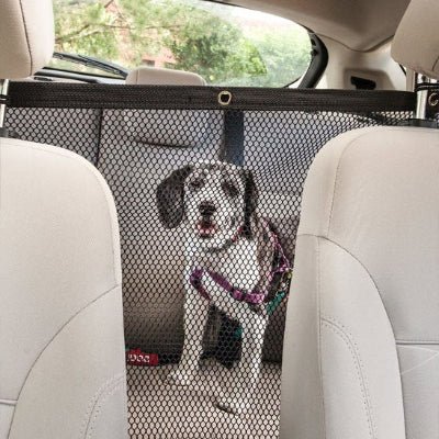 Filet chien voiture secure