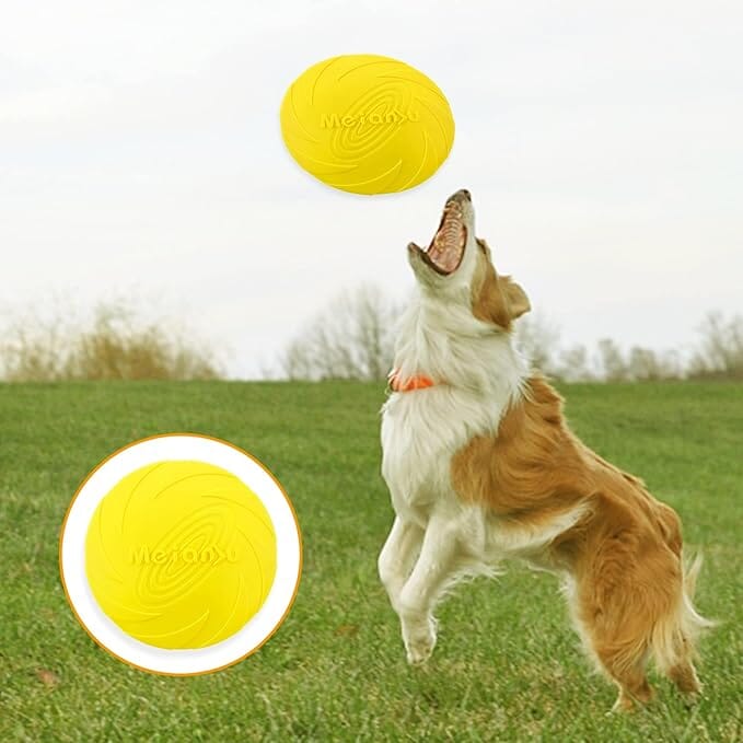 Frisbee pour Chien - FlyDog™ - Jaune - Chien à l'honneur