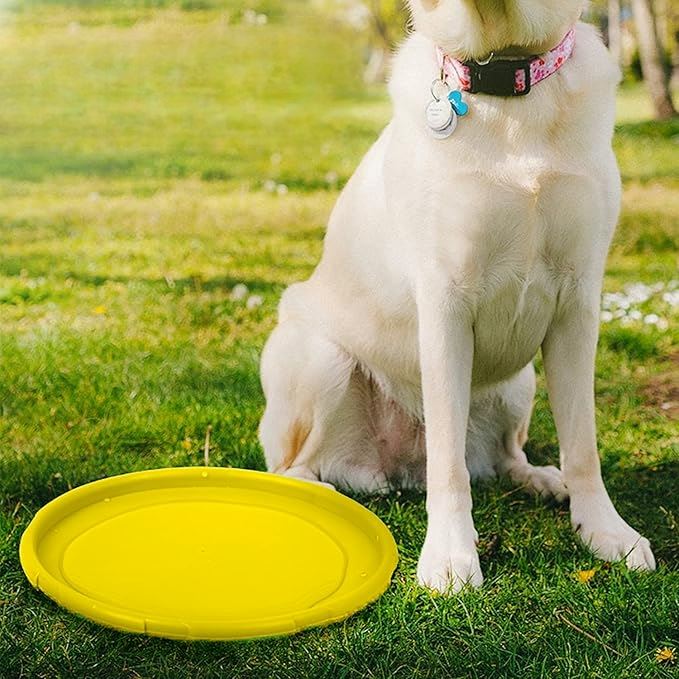 Frisbee pour Chien - FlyDog™ - Jaune - Chien à l'honneur