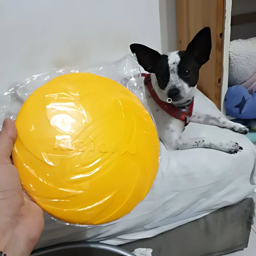Frisbee pour Chien - FlyDog™ - Jaune - Chien à l'honneur