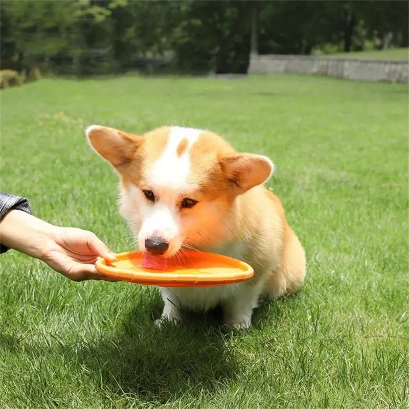 Frisbee pour Chien - FlyDog™ - Orange - Chien à l'honneur