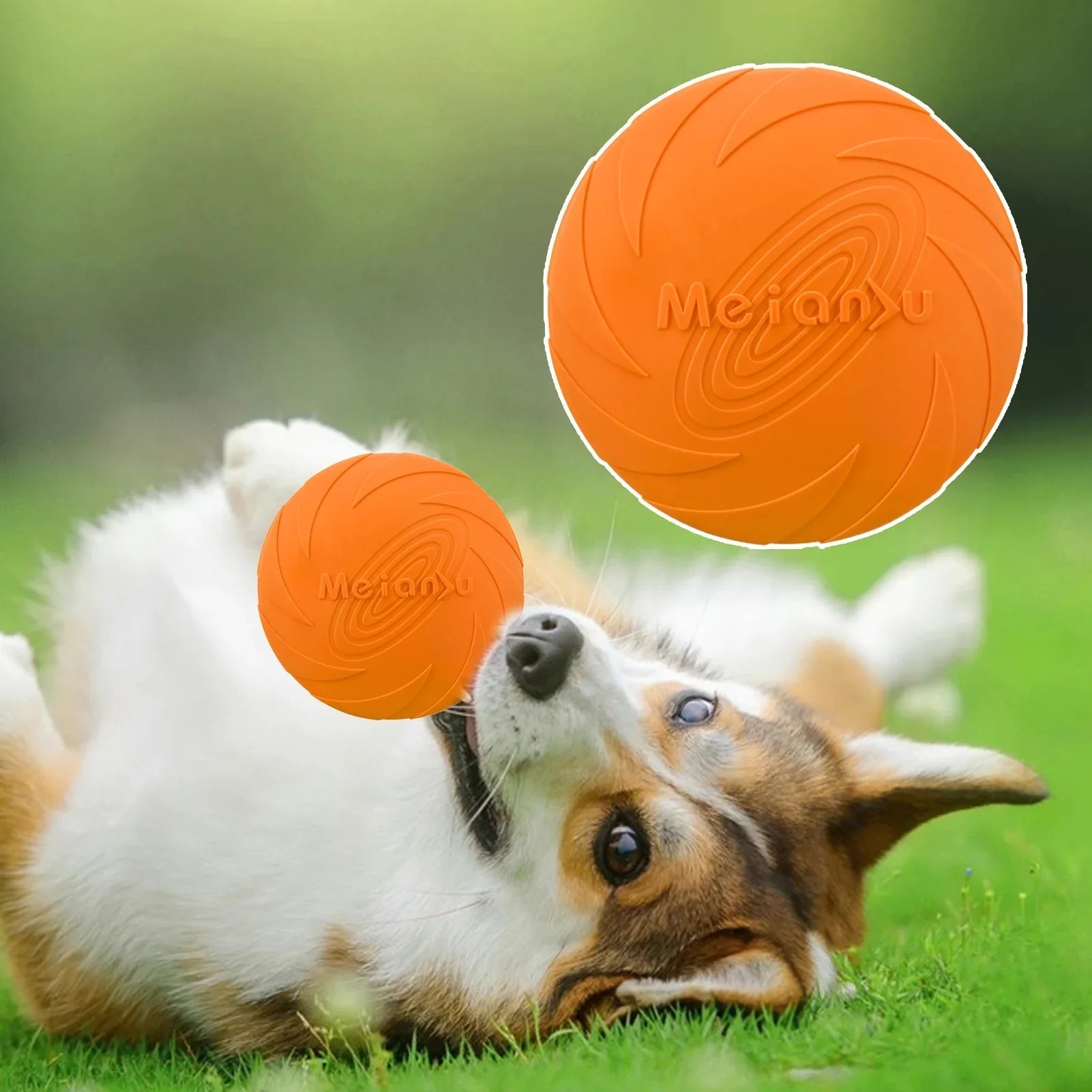 Frisbee pour Chien - FlyDog™ - Orange - Chien à l'honneur