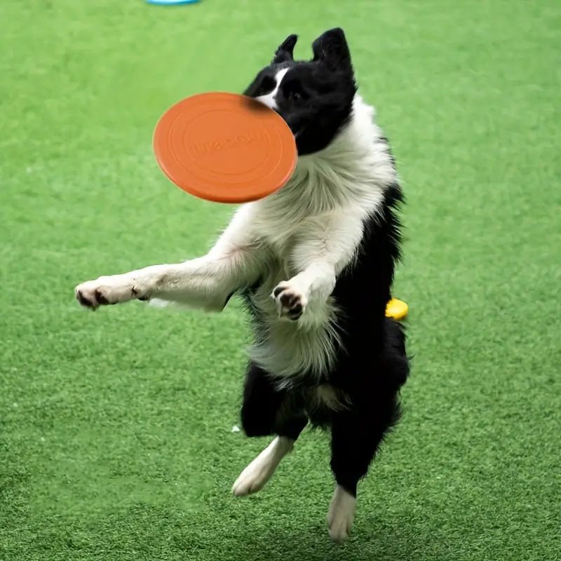 Frisbee pour Chien - FlyDog™ - Orange - Chien à l'honneur