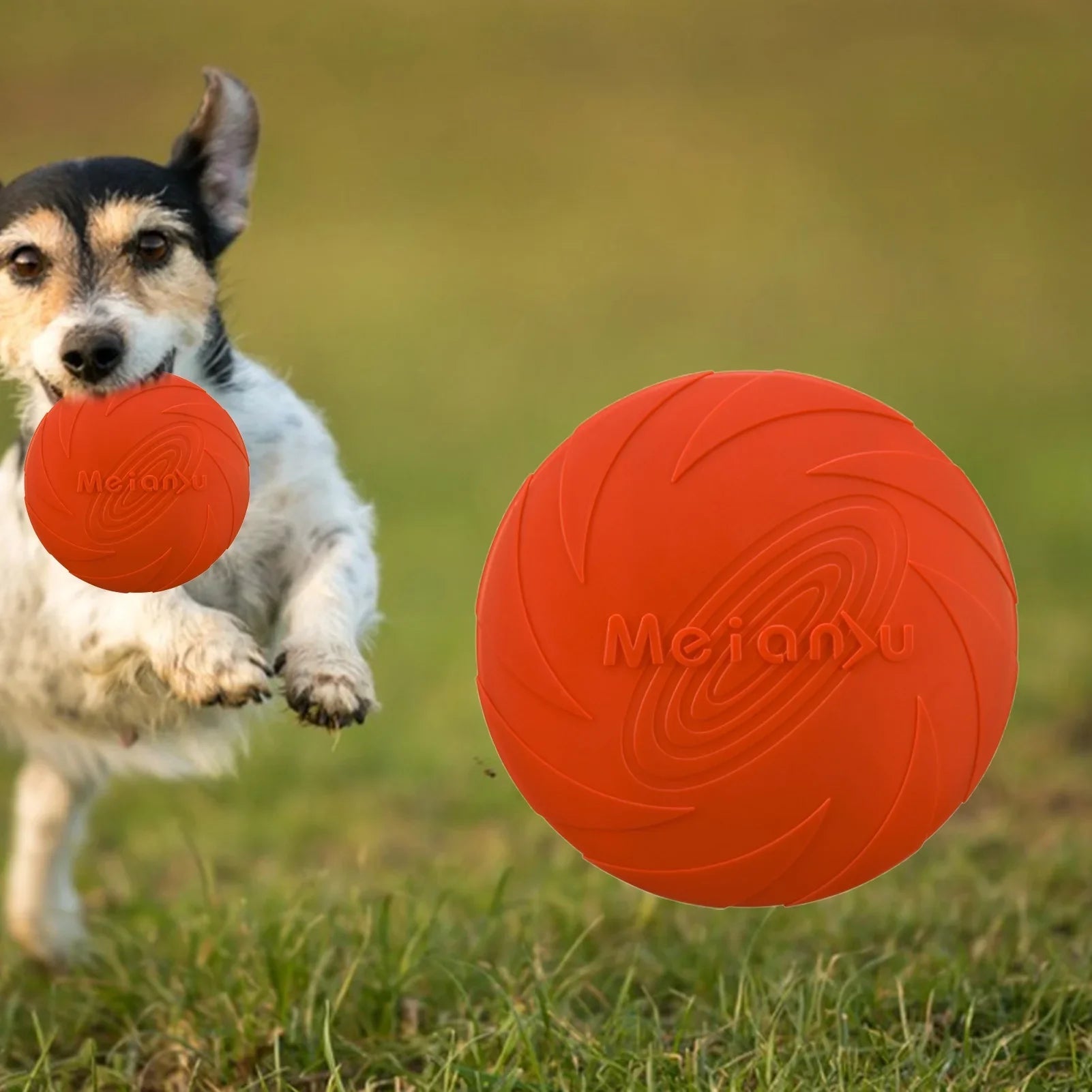 Frisbee pour Chien - FlyDog™ - Rouge - Chien à l'honneur