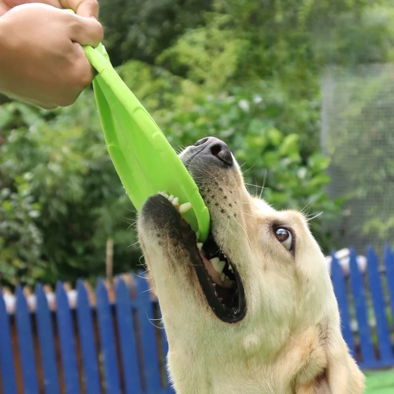 Frisbee pour Chien - FlyDog™ - Vert - Chien à l'honneur