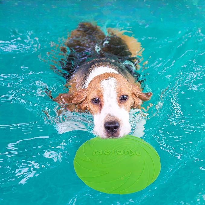 Frisbee pour Chien - FlyDog™ - Vert - Chien à l'honneur