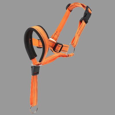 Harnais anti traction pour chien orange