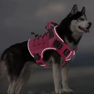 Harnais chien reflechissant