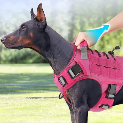 Harnais chien poigne 