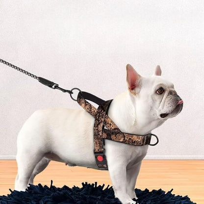 Harnais pour chien - DogSafeHarness™ - Noir Doré - Chien à l'honneur