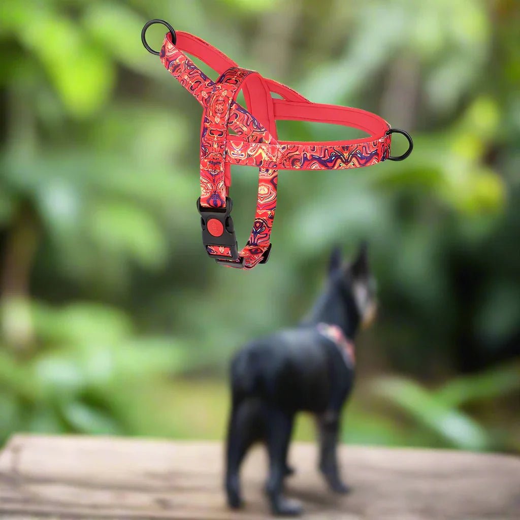 Harnais pour chien - DogSafeHarness™ - Rouge - Chien à l'honneur