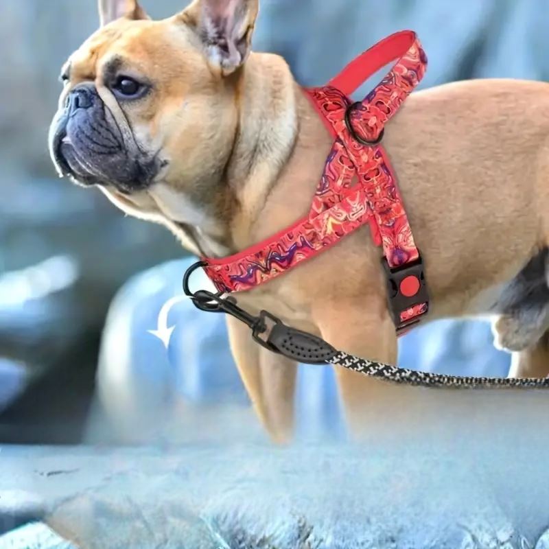 Harnais pour chien - DogSafeHarness™ - Rouge - Chien à l'honneur
