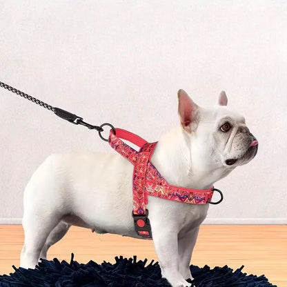 Harnais pour chien - DogSafeHarness™ - Rouge - Chien à l'honneur
