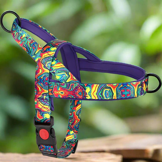 Harnais pour chien - DogSafeHarness™ - Violet - Chien à l'honneur