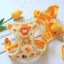 harnais chiot jolis motifs canard