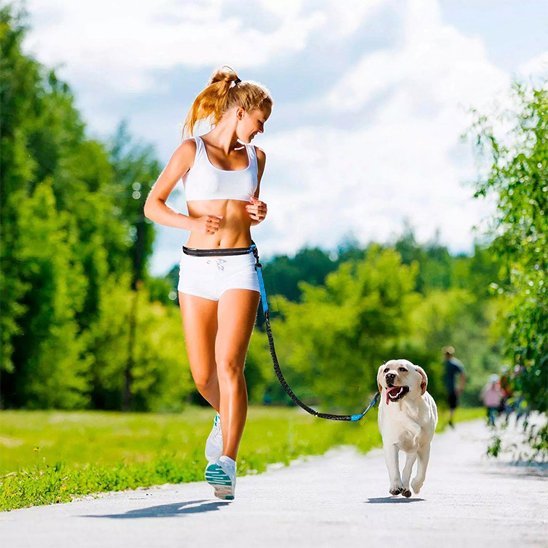 Laisse chien main libre en action